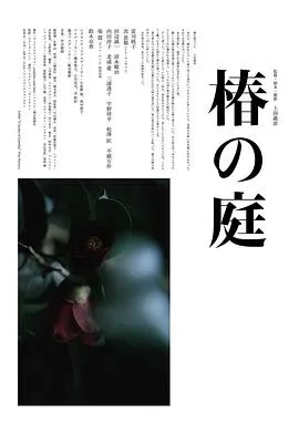 天鹅恋
